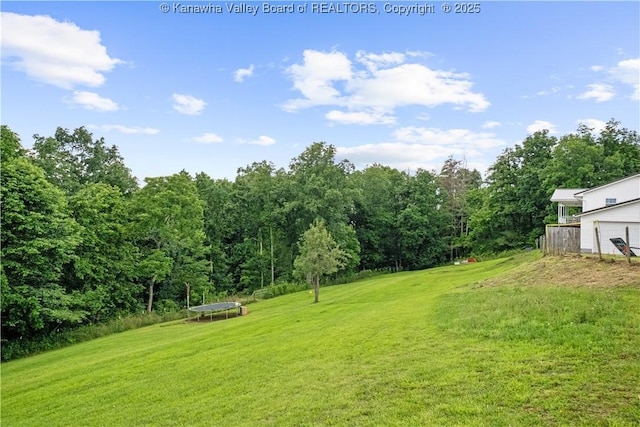 733 Divide Ridge Rd, Given, WV 25245 - view of grassy yard with a trampoline
