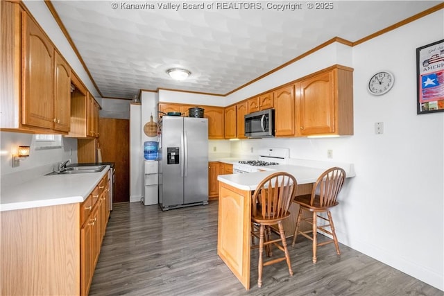 733 Divide Ridge Rd, Given, WV 25245 - kitchen featuring stainless steel appliances, a peninsula, crown molding, light countertops, and wood finished floors