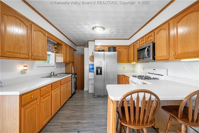 733 Divide Ridge Rd, Given, WV 25245 - kitchen with stainless steel appliances, a peninsula, ornamental molding, a breakfast bar, and light countertops