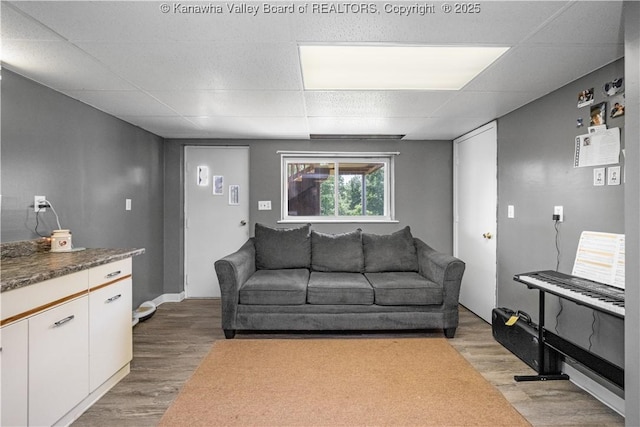 733 Divide Ridge Rd, Given, WV 25245 - living area with light wood finished floors and a drop ceiling
