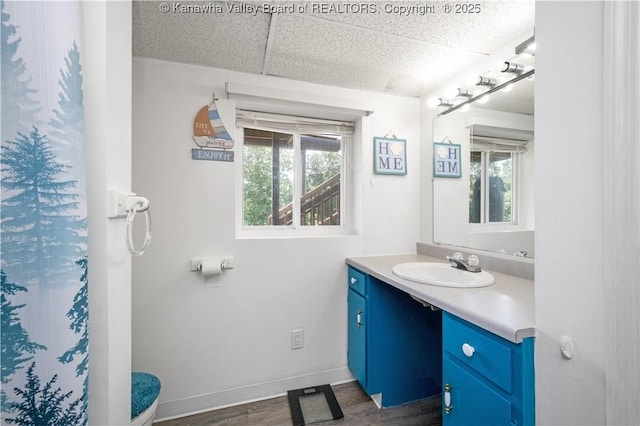 733 Divide Ridge Rd, Given, WV 25245 - bathroom with vanity and a drop ceiling