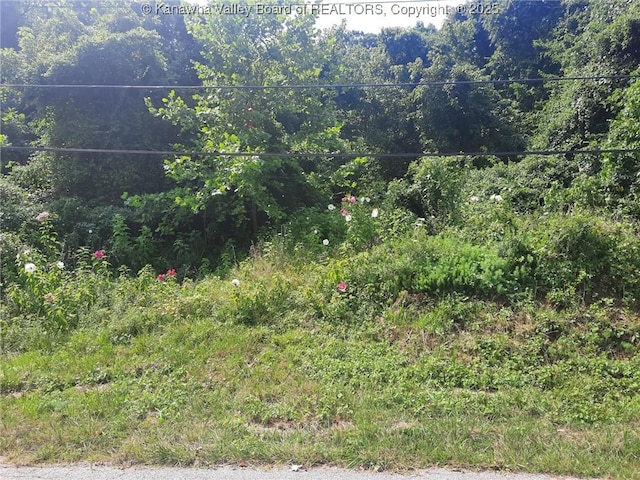 1413 Mountain Rd, South Charleston, WV 25303