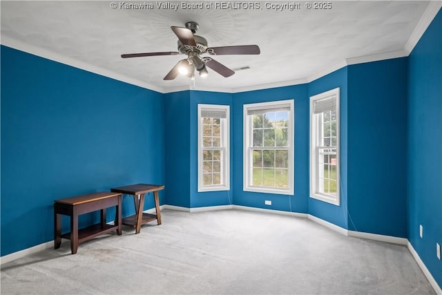 1447 Blue Lick Rd, Winfield, WV 25213 - photo 34