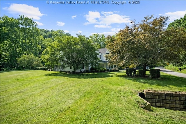 1447 Blue Lick Rd, Winfield, WV 25213 - photo 43
