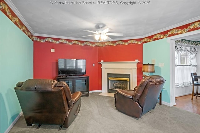 1447 Blue Lick Rd, Winfield, WV 25213 - photo 22