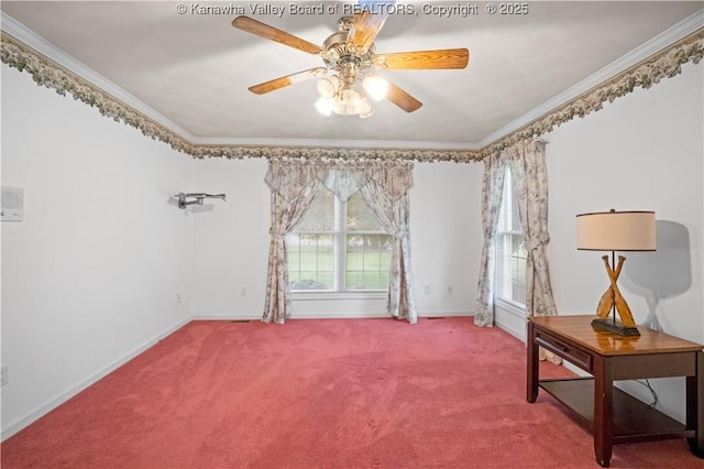 1447 Blue Lick Rd, Winfield, WV 25213 - photo 25