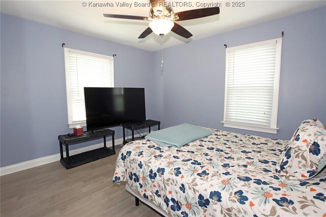 4312 Lancaster Ave, Charleston, WV 25304 - bedroom with wood finished floors and a ceiling fan