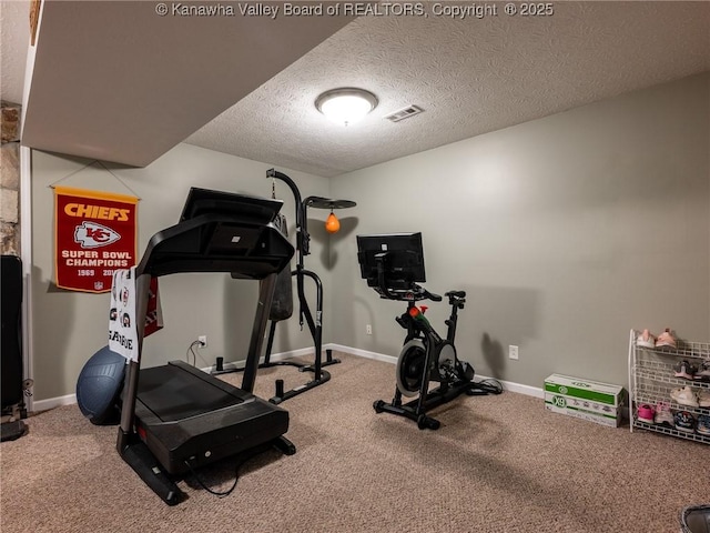150 Timberlake Cir, Scott Depot, WV 25560 - workout room featuring carpet flooring and a textured ceiling