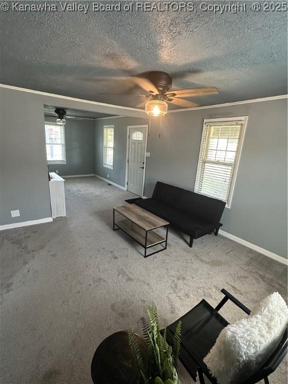 1110 Benamati Ave, Nitro, WV 25143 - living area with a ceiling fan, a textured ceiling, crown molding, and carpet