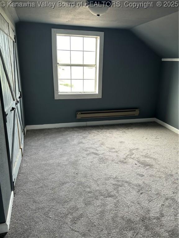 1110 Benamati Ave, Nitro, WV 25143 - additional living space with baseboard heating, carpet floors, and vaulted ceiling