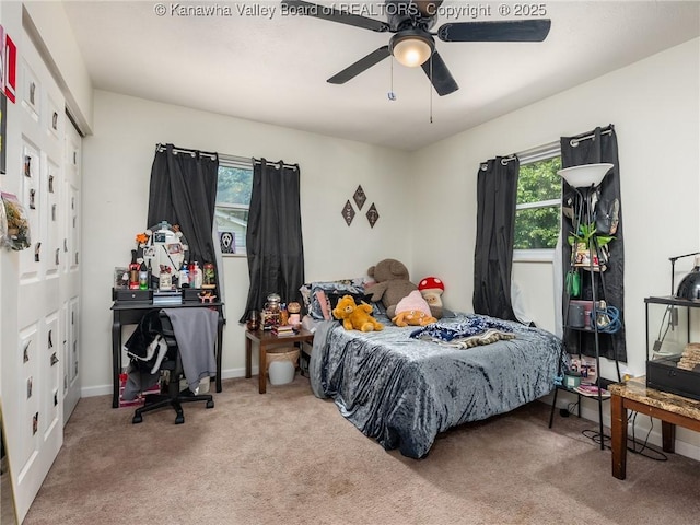 1105 Hollyberry Ln, South Charleston, WV 25309 - bedroom featuring carpet and ceiling fan