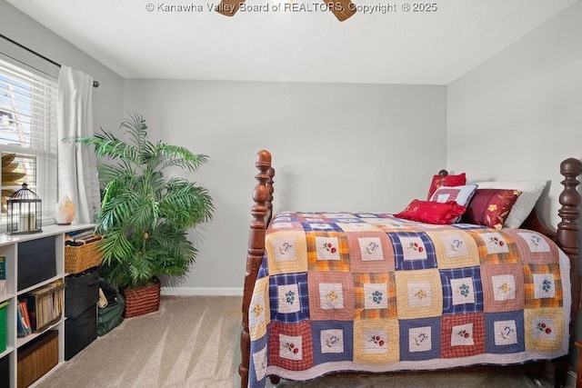 128 Westland Ests, Winfield, WV 25213 - bedroom with carpet flooring and baseboards