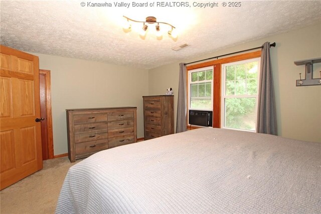 1255 Johns Creek Rd, Milton, WV 25541 - bedroom with a textured ceiling and light carpet