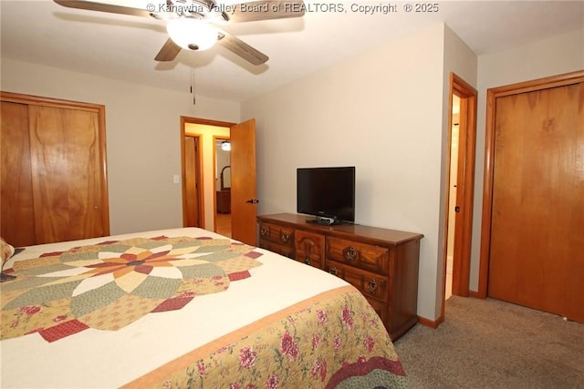 1412 Wilkie Dr, Charleston, WV 25314 - bedroom featuring light carpet and a ceiling fan