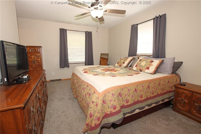 1412 Wilkie Dr, Charleston, WV 25314 - bedroom with light colored carpet, multiple windows, and a ceiling fan