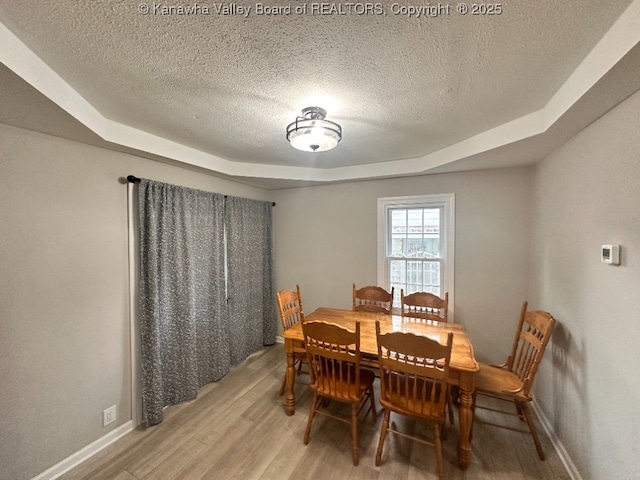 191 N Park Dr, Point Pleasant, WV 25550 - dining room featuring light wood finished floors, a textured ceiling, and a raised ceiling