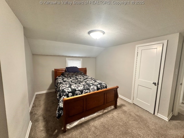 191 N Park Dr, Point Pleasant, WV 25550 - bedroom with carpet flooring, lofted ceiling, and a textured ceiling