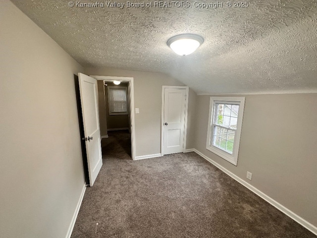 191 N Park Dr, Point Pleasant, WV 25550 - unfurnished bedroom featuring a textured ceiling, carpet flooring, and vaulted ceiling