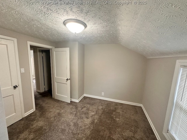 191 N Park Dr, Point Pleasant, WV 25550 - bonus room featuring carpet floors, a textured ceiling, and vaulted ceiling