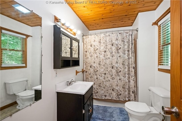 180 Tryphenia Rd, Hurricane, WV 25526 - full bathroom with wooden ceiling, vanity, plenty of natural light, and curtained shower