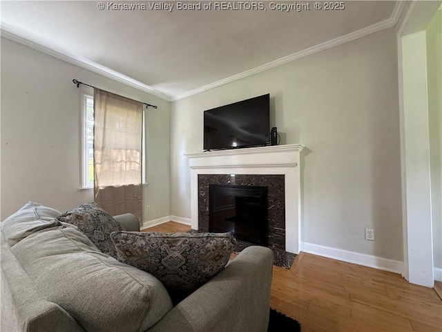 1206 Central Ave, Saint Albans, WV 25177 - living area with wood finished floors, ornamental molding, and a fireplace