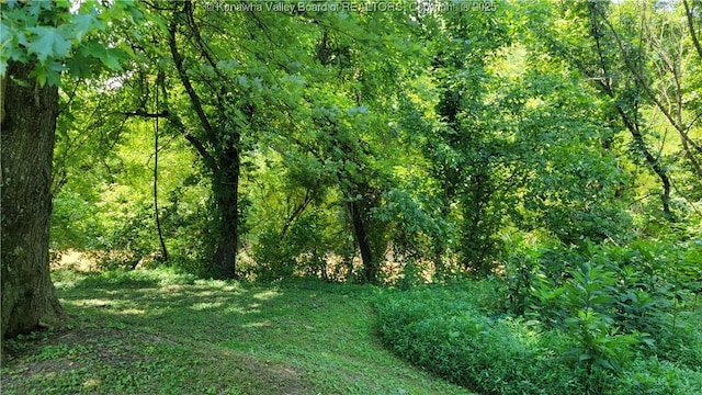 15 Courtside Dr, Laurel Hill, WV 25540 - photo 10