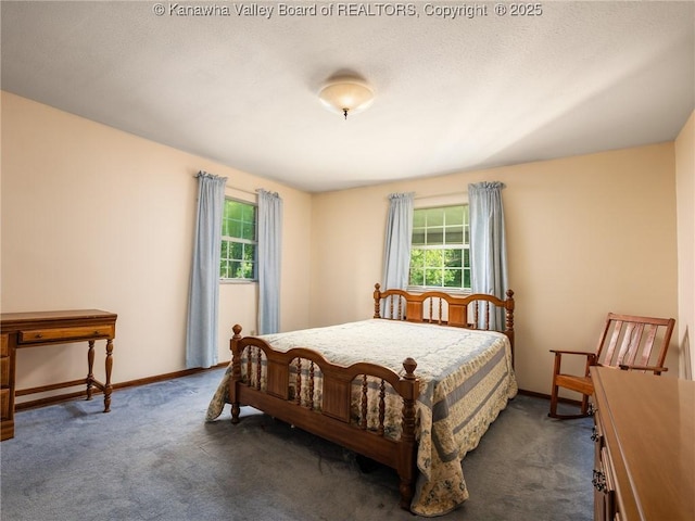 1846 Scott Depot Rd, Scott Depot, WV 25560 - bedroom featuring multiple windows and dark colored carpet