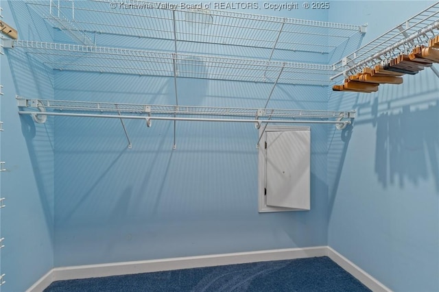 1155 Pike St, Milton, WV 25541 - view of walk in closet