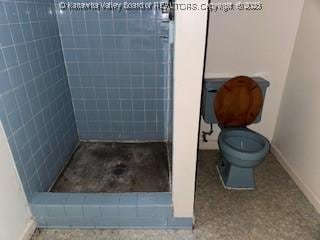873 Woods Dr, Saint Albans, WV 25177 - full bath with a stall shower and toilet