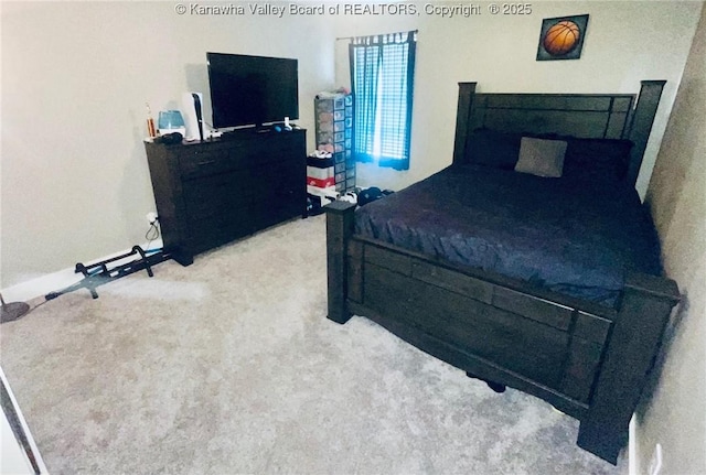 4052 Farmington Dr, Hurricane, WV 25526 - view of carpeted bedroom