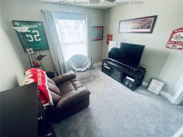 4052 Farmington Dr, Hurricane, WV 25526 - carpeted living room with baseboards