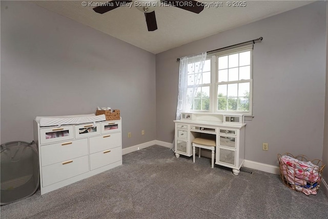 18 Long St, Winfield, WV 25213 - office space with ceiling fan and dark colored carpet