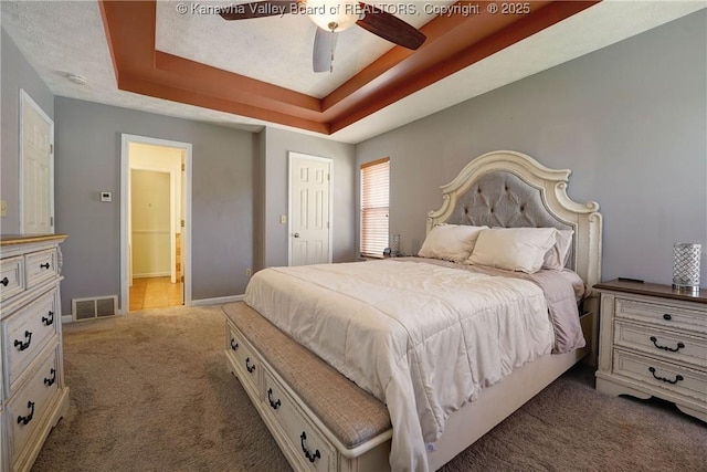18 Long St, Winfield, WV 25213 - bedroom with carpet, a raised ceiling, ensuite bathroom, and ceiling fan