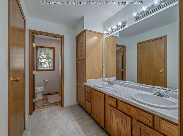 1437 Statts Mills Rd, Ripley, WV 25271 - full bath with double vanity and toilet