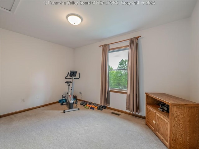 1437 Statts Mills Rd, Ripley, WV 25271 - workout room featuring light colored carpet and baseboards