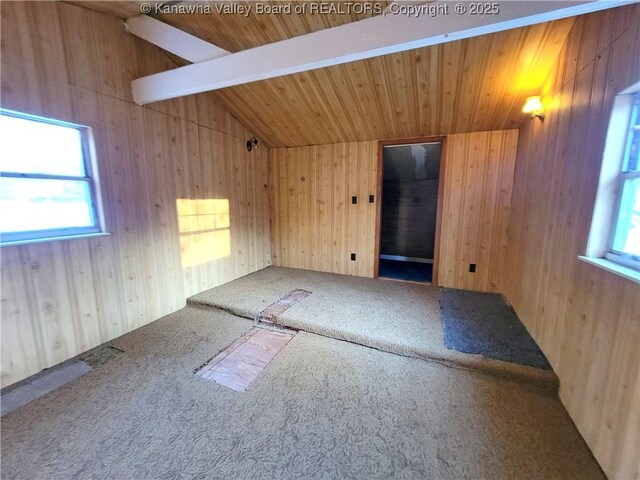 807 Honeysuckle Rd, Elkview, WV 25071 - carpeted empty room featuring wood walls and wooden ceiling