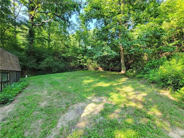 807 Honeysuckle Rd, Elkview, WV 25071 - view of green lawn featuring an outdoor structure and a view of trees