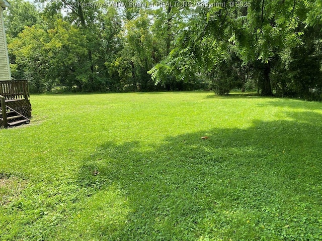 134 Ferguson Ct, Huntington, WV 25701 - view of grassy yard