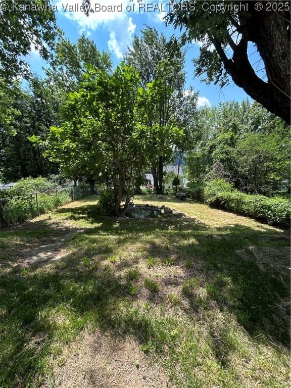 2010 Preston St, Charleston, WV 25302 - view of yard