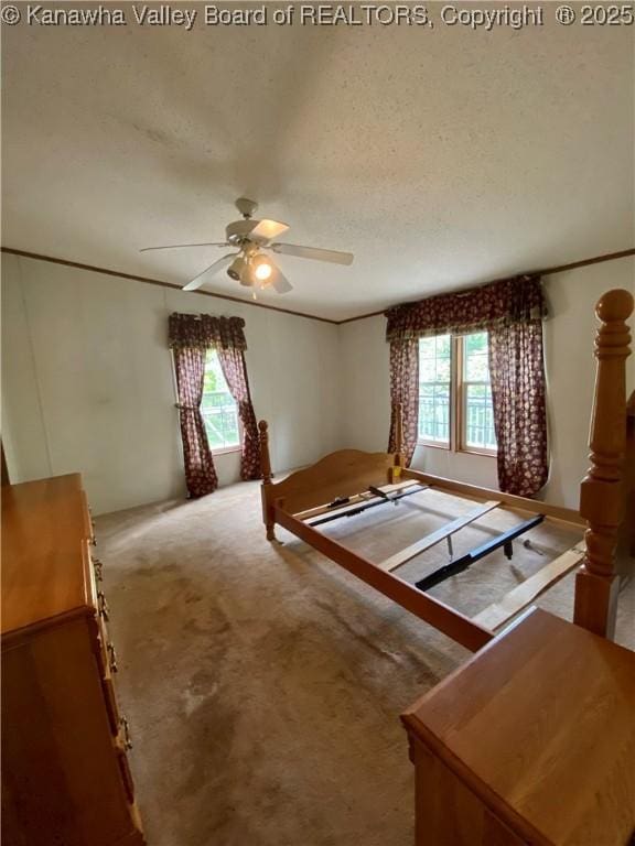 2399 Spicewood Rd, Kenna, WV 25248 - unfurnished bedroom with multiple windows, carpet floors, a textured ceiling, and a ceiling fan