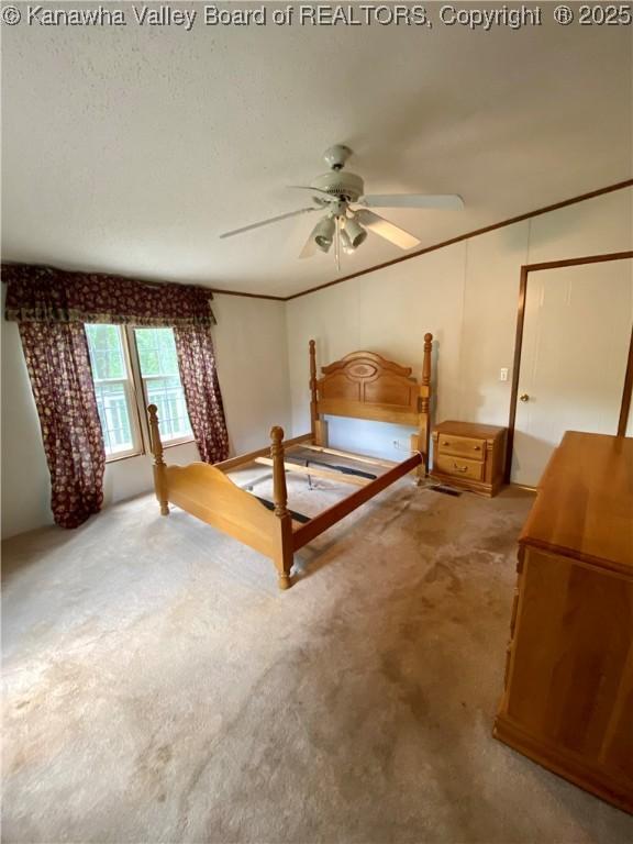 2399 Spicewood Rd, Kenna, WV 25248 - view of carpeted bedroom