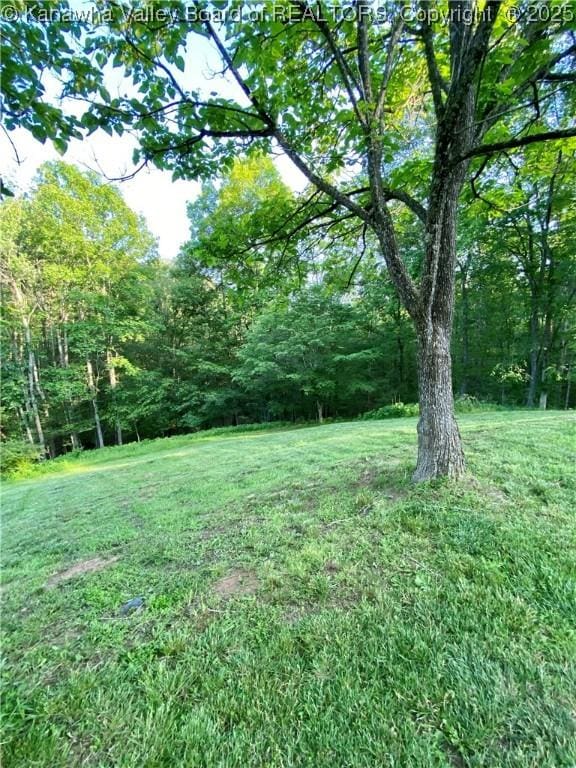 2399 Spicewood Rd, Kenna, WV 25248 - view of green lawn with a view of trees