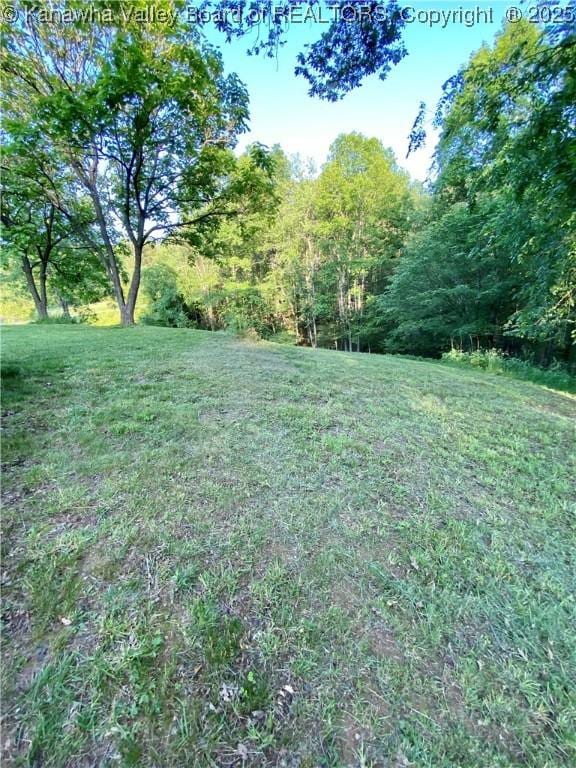 2399 Spicewood Rd, Kenna, WV 25248 - view of green lawn