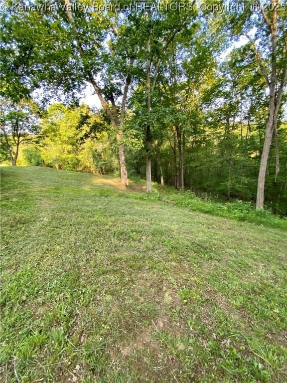 2399 Spicewood Rd, Kenna, WV 25248 - view of green lawn