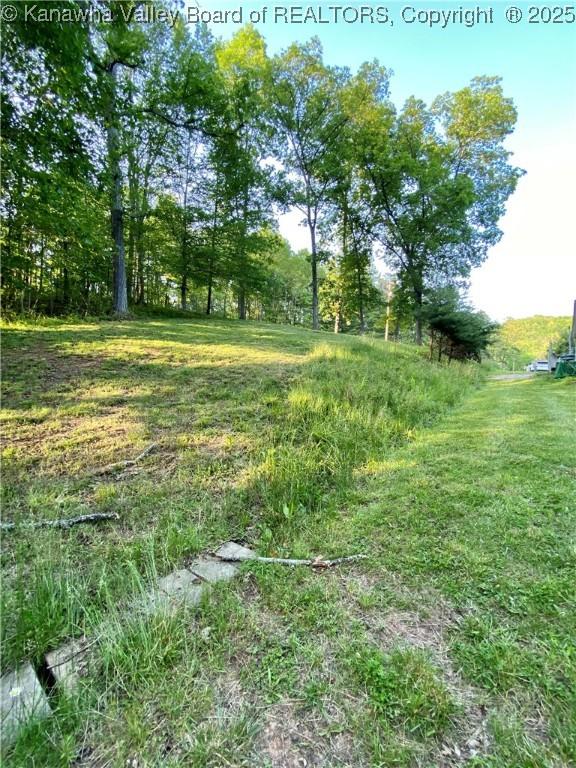 2399 Spicewood Rd, Kenna, WV 25248 - view of yard