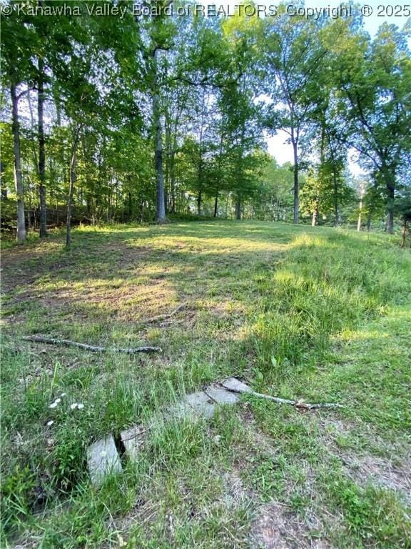 2399 Spicewood Rd, Kenna, WV 25248 - view of yard