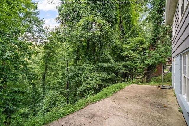 1413 Longridge Rd, Charleston, WV 25314 - photo 38