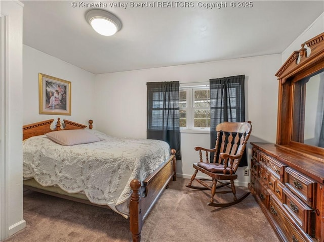 118 Maroney Ln, Belle, WV 25015 - photo 20