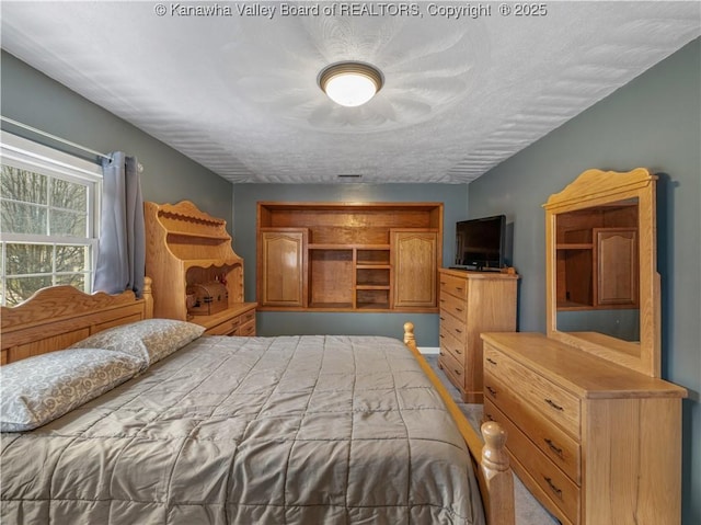 118 Maroney Ln, Belle, WV 25015 - photo 23