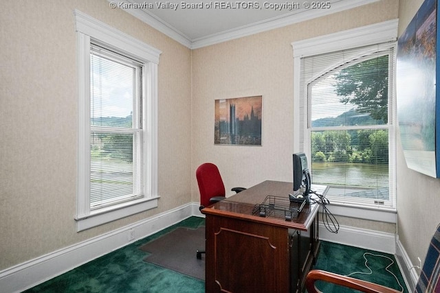 1598 Kanawha Blvd E, Charleston, WV 25311 - home office featuring carpet flooring and crown molding